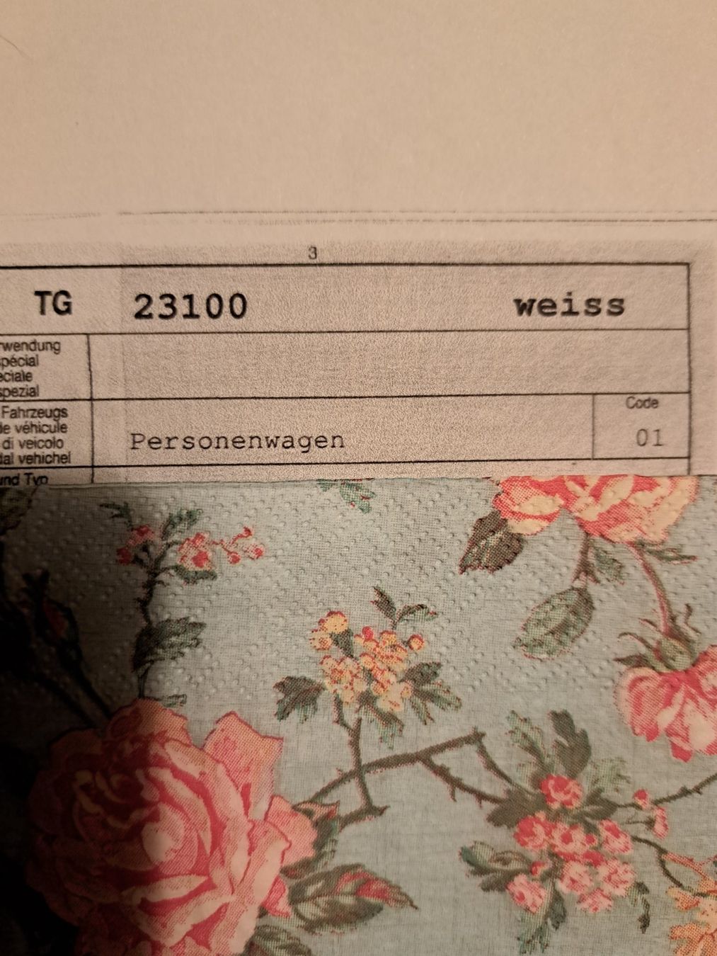 Insegne: TG 23100  Autokennzeichen – Usato da Weinfelden venduto da Thurgau7