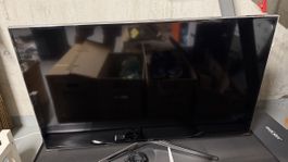 Samsung TV 48 Zoll