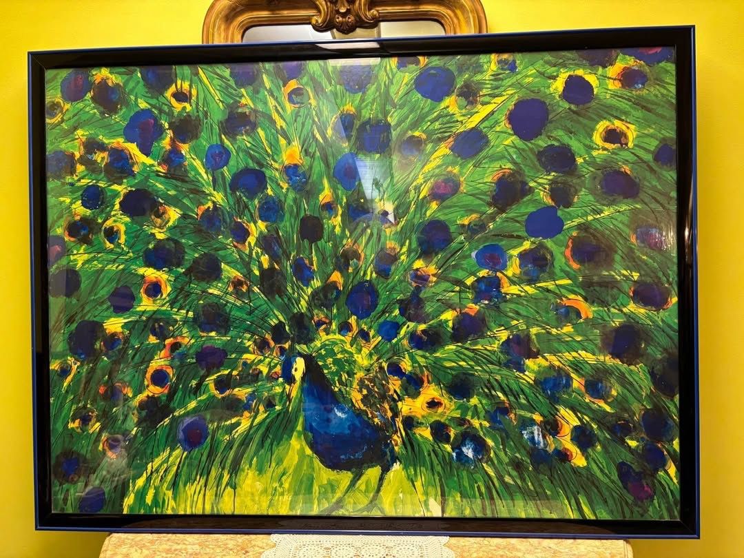 Foto & Immagini: Kunstdruck Pfau Alurahmen – Usato da Hindelbank venduto da brm_72zv 1