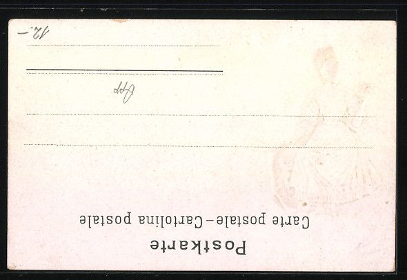 Cartoline postali: Präge-Lithographie Appenzellerin mit Bl – Usato da Berlin venduto da bartko-reher 1