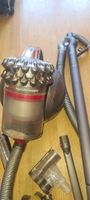Dyson cinetic bigball animalpro