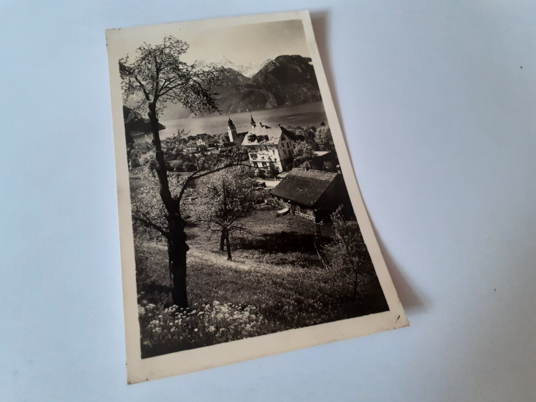 Cartoline postali: SISIKON - URIROTSTOCK – Usato da Winterthur venduto da Ornyx7