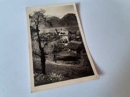 SISIKON - URIROTSTOCK