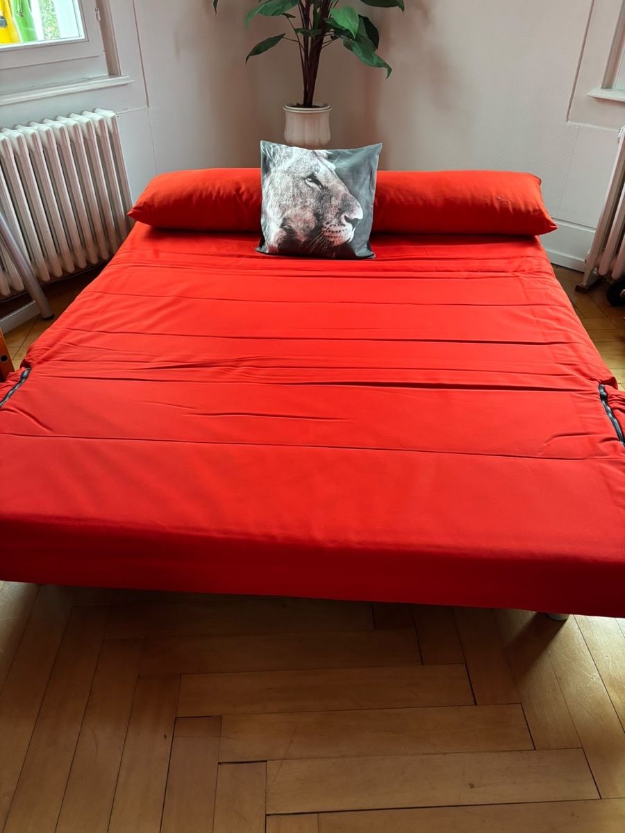 Ligne Roset Sofas: Sofa – D'occasion à Muri b. Bern par cia_9n7g 1