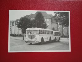 Autobus Stadtwerke Lübeck Büssing Typ 6500 T