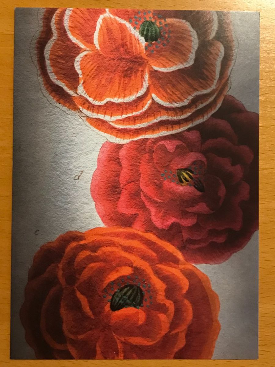 Cartoline postali: Grusskarte Blumen – Usato da Luzern venduto da mey_s13