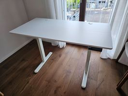 Arebos Höhenverstellbarer Schreibtisch 120cm