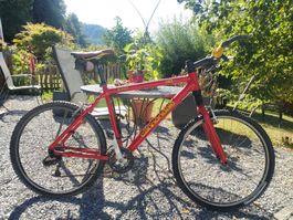 Cannondale F800 SL CAD2