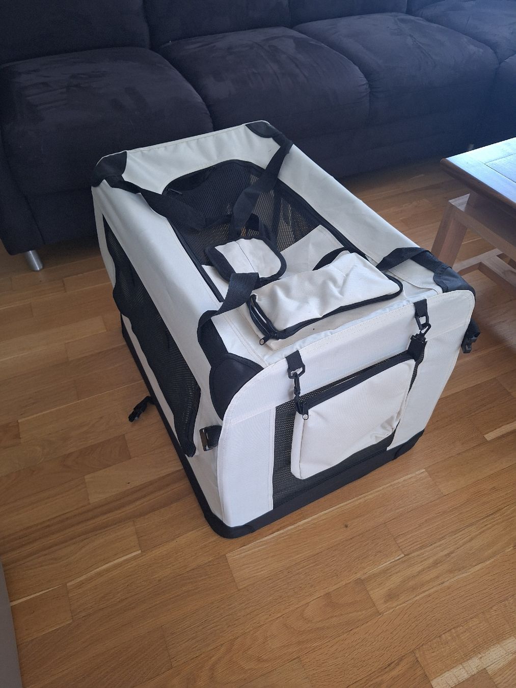 Cucce & Letti: Pet Violet Transportbox – Usato da Lenzburg venduto da sin_6g9s 2