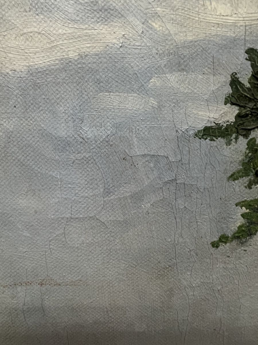 Dipinti: HUILE SUR TOILE ANCIENNE SIGNÉE ILLISIBLE ???? – Usato da Genève venduto da Qanil77 9