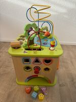 Hape Motorikwürfel