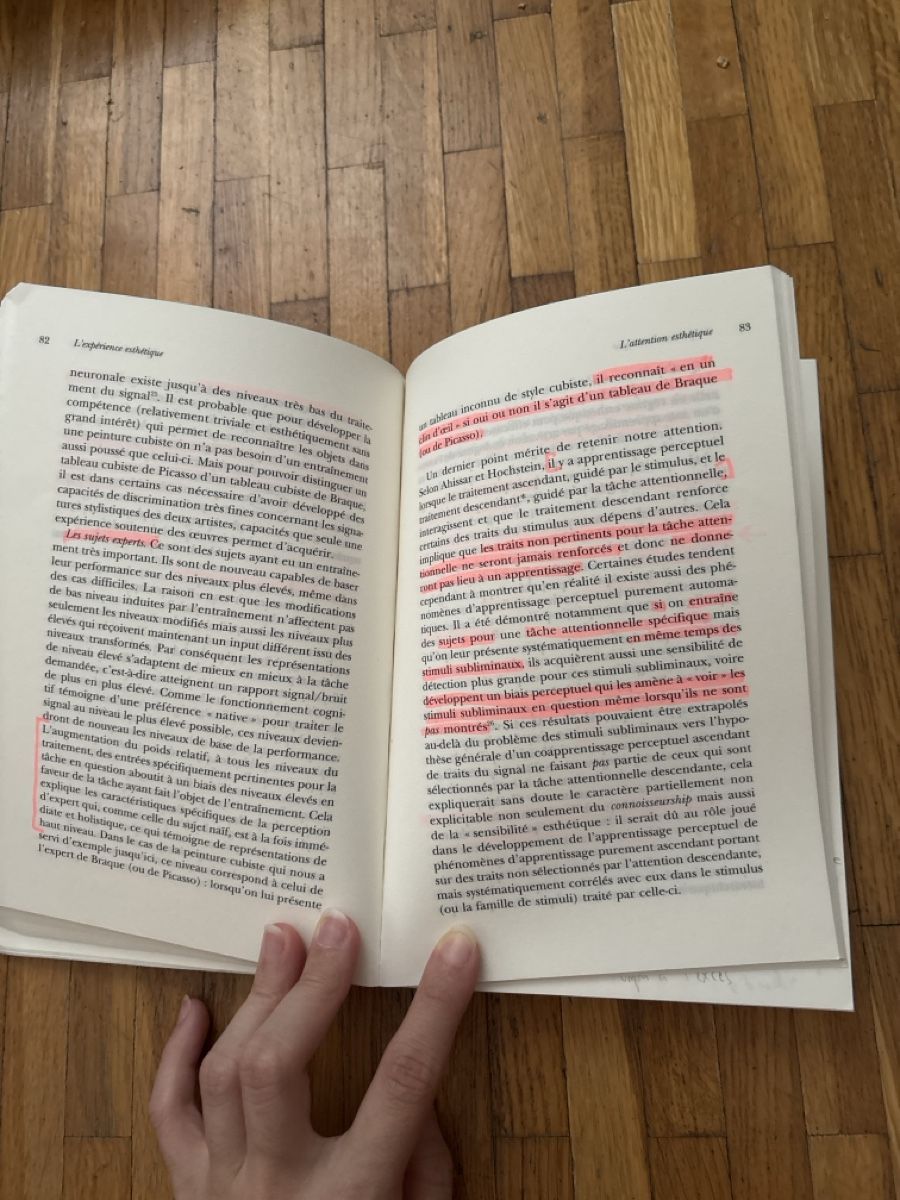 Bücher: L'Expérience Esthétique Jean-Marie Schaeffer Book – Gebraucht aus Le Grand-Saconnex von mar_wby6 2