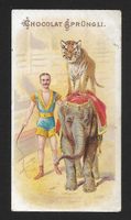 Chocolat Sprüngli : Dompteur avec tigre sur éléphant ,1900