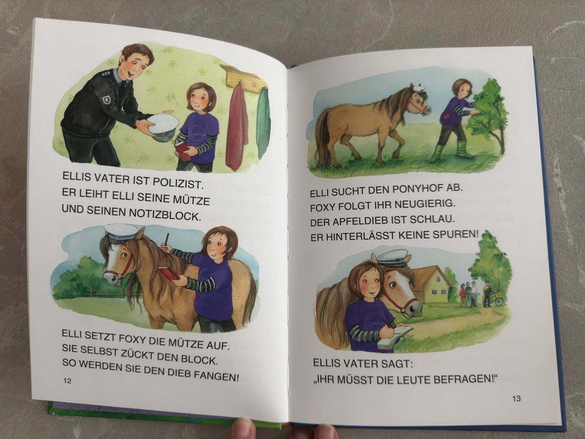 Bücher: LeseTiger Buch - Ponyhofgeschichten – Neu (gemäss Beschreibung) aus Sins von sum_lv6d 3