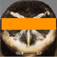 Profile image of frei.aviation
