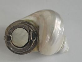 Muschel Dose