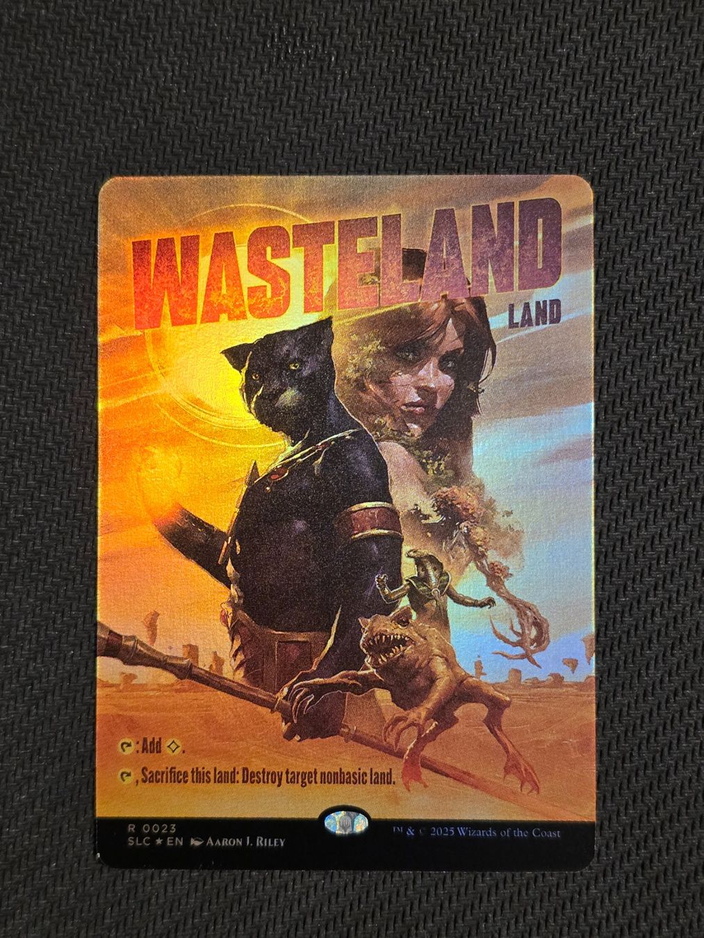 Magic The Gathering Carte collezionabili: Wasteland - Foil -  MTG – Usato da Zürich venduto da Semagets