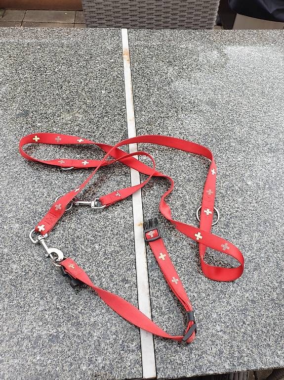 Guinzagli & Collari: Hundeleine mit Halsband – Usato da Rickenbach LU venduto da trucker.s