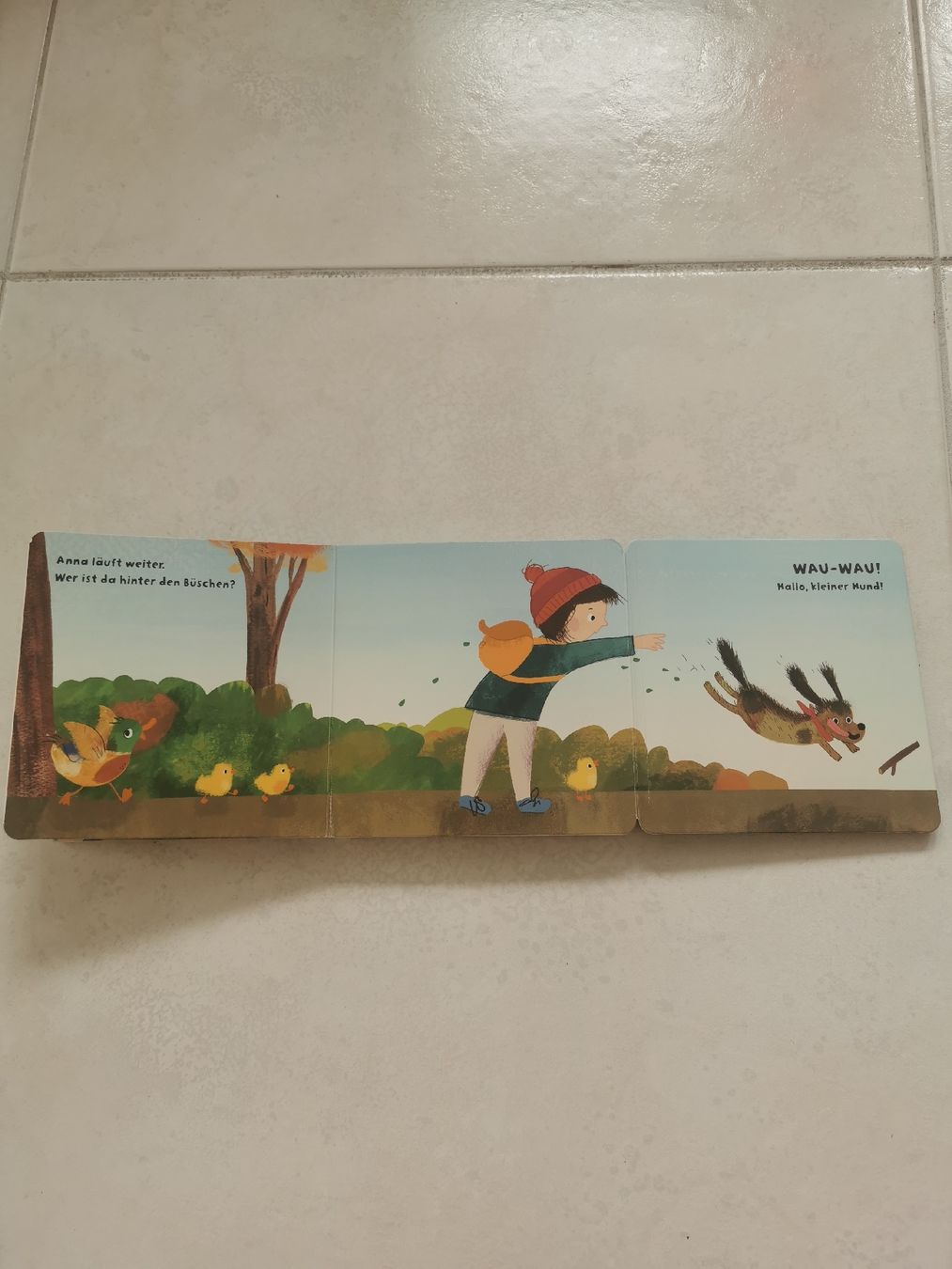 Libri: Bilderbuch "Schau mal meine Freunde"  – Usato da Brunnen venduto da JJaime 1