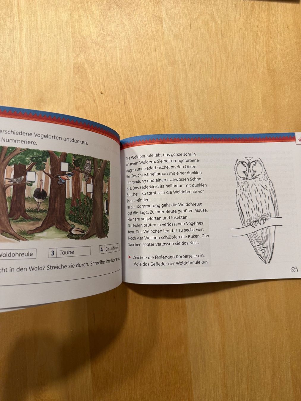 Libri: Mein Indianerheft: Vögel 3/4 Klett – Usato da Goldach venduto da Hibiskus23 1