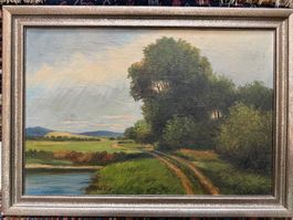 Elegantes Wunderschönes Naturbild mit Waldweg und See