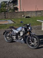 Mondial HPS 125 Nr.440