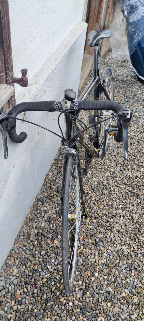 Scott Biciclette: Scott Carbon Rennvelo 56cm – Usato da Meggen venduto da Malecifent 8