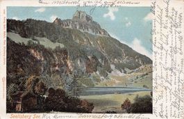 Seelisberg See, Künstlerkarte, gelaufen 1917
