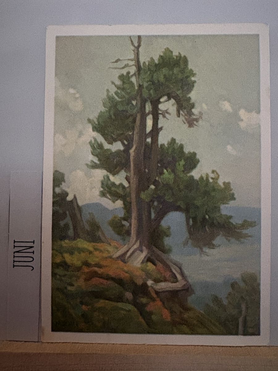 Cartoline postali: AK mit Kunst von Marie Rollé – Usato da Rümlang venduto da Kartenpost1