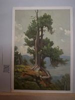 AK mit Kunst von Marie Rollé