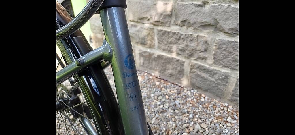 Diamant Biciclette: Diamant Rubino – Usato da Altdorf UR venduto da Velofahrer3 3