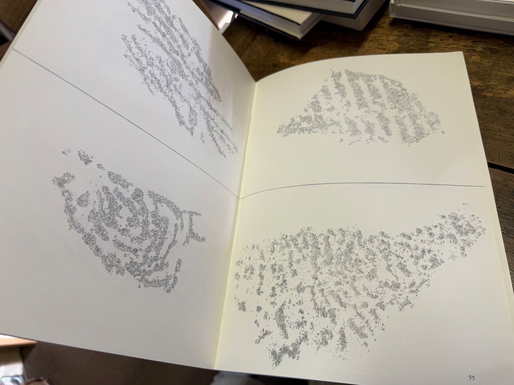 Libri: Giuseppe PENONE – Usato da Bern venduto da Jwpm66 3