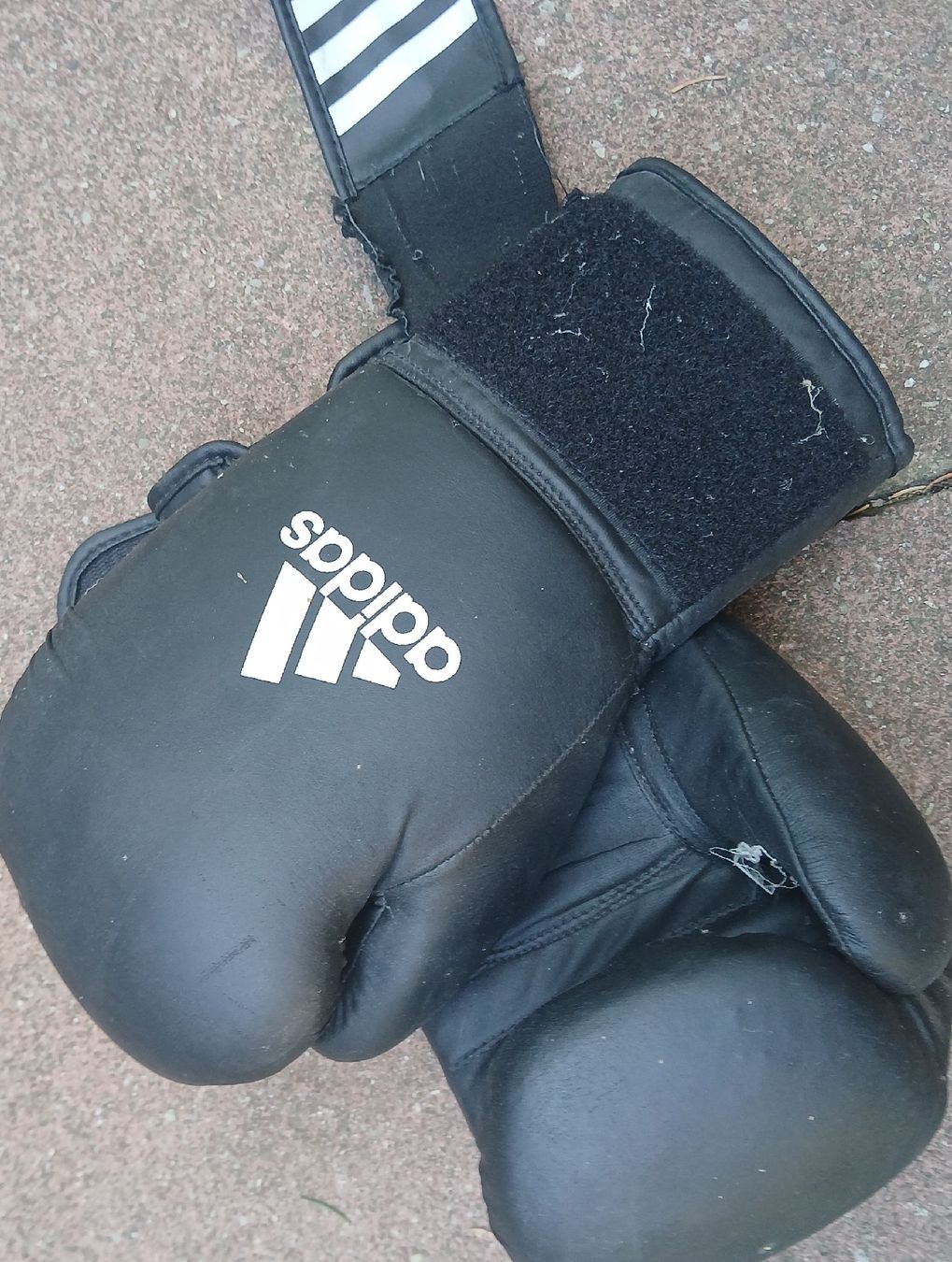Adidas Guanti & manicotti: Boxhandschuhe Adidas schwarz gebraucht – Usato da Bern venduto da jon_552k