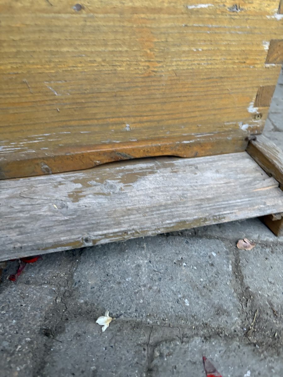 Alveari: Bienen Magazinbeute, CH-Mass – Usato da Zweisimmen venduto da FloBuc 1