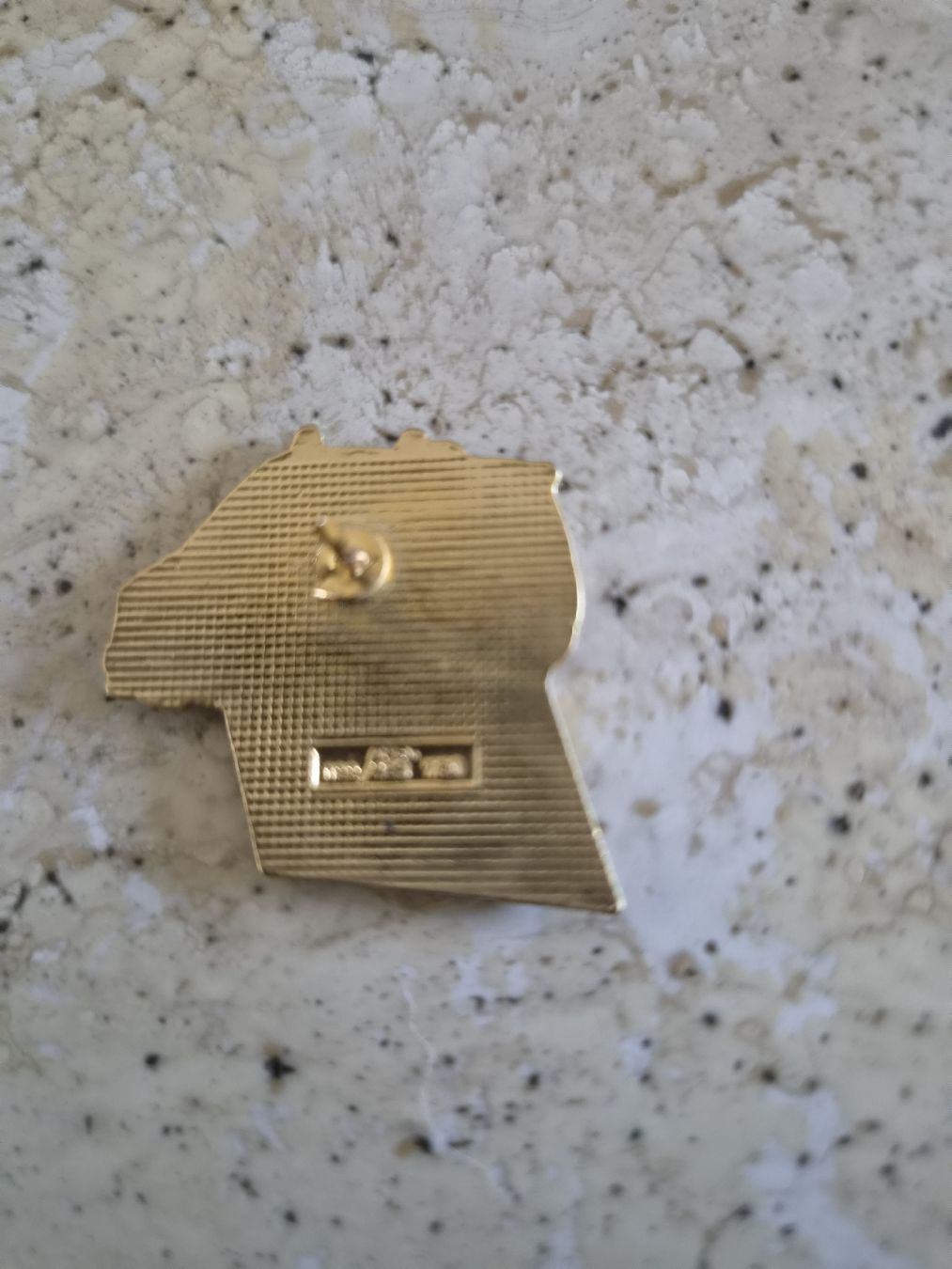 Plaquettes & Badges: Pin's. Police Genève  – D'occasion à Versoix par rucio 3