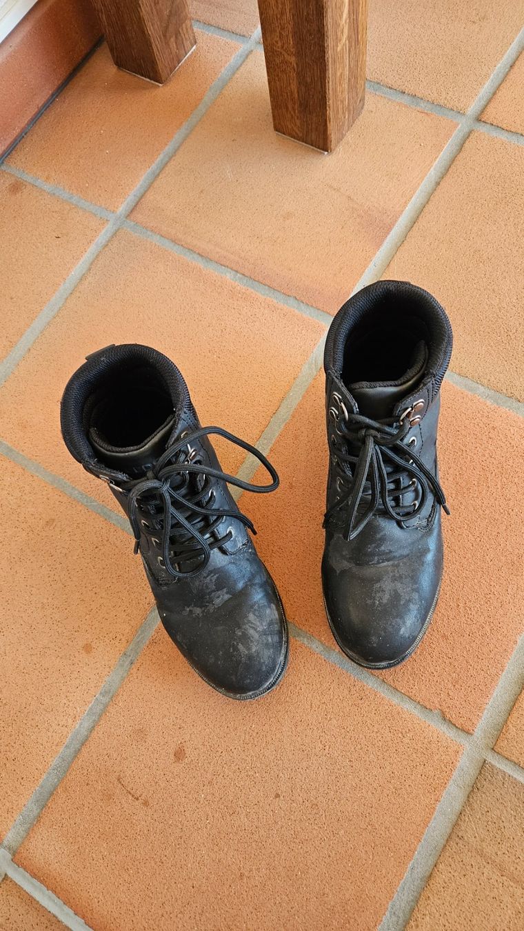 Felix Bühler Scarpe per ragazze: Reitschuhe/Reitstiefel – Usato da Bubikon venduto da diditoto