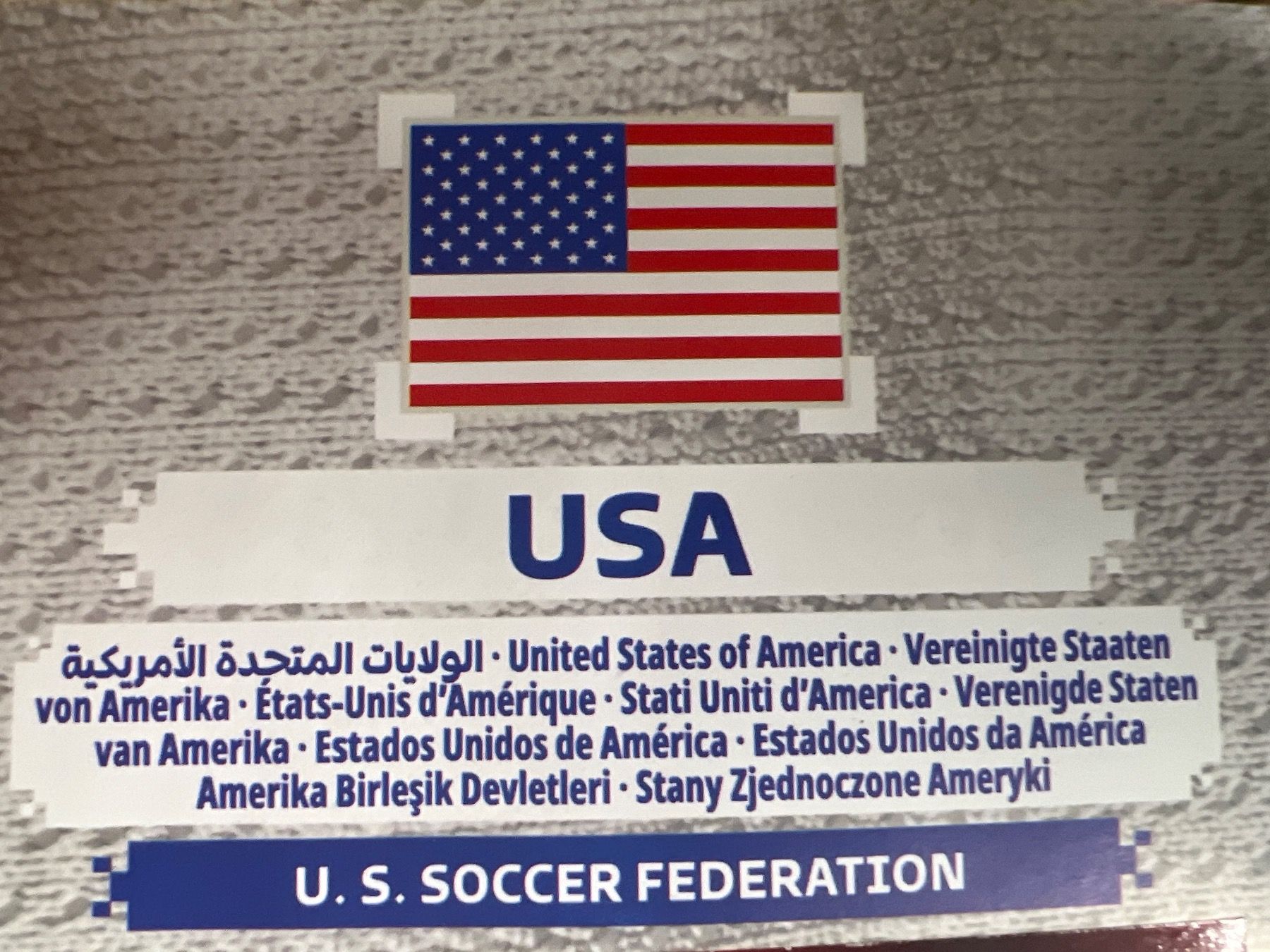 Panini Carte collezionabili: Panini Qatar 2022 Oryx Edition USA – Nuovo (secondo la descrizione) da Dietikon venduto da Emoruk 2