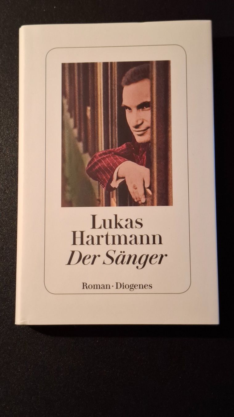 Livres: *Der Sänger* Lukas Hartmann / fE – D'occasion à Brütten par Sigimi