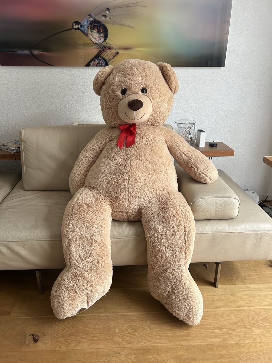 Giocattoli: Teddy – Nuovo (secondo la descrizione) da Witterswil venduto da ile_cv2m