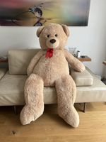 Teddy