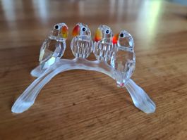 Swarovski Figur Lovebirds Originalverpackt 