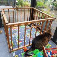 Kinderlaufstall Holz gebrauchter Zustand