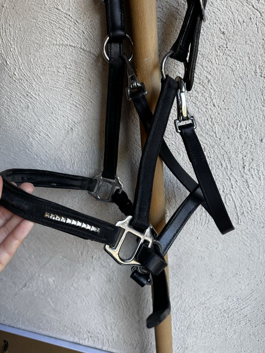 Brides, licols: Lederhalfter schwarz mit Strasssteinen – D'occasion à Jaberg par alee_leika