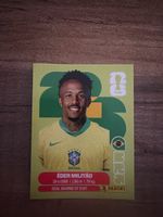 Panini WM 26