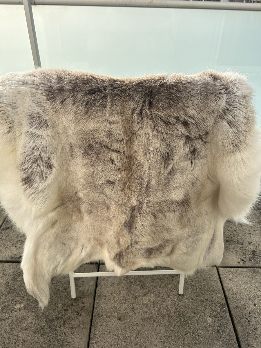 Alle Dekorationen: Soft Reindeer Hide, Perfect Winter Decoration – Gebraucht aus Genève von Noemie.wrmsi 1