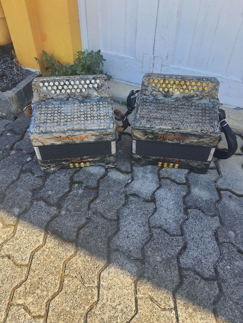 Hohner Strumenti musicali: 2 accordéons diatonique 8 basses hohner – Usato da Pont-de-la-Morge venduto da Mirabelle0 2