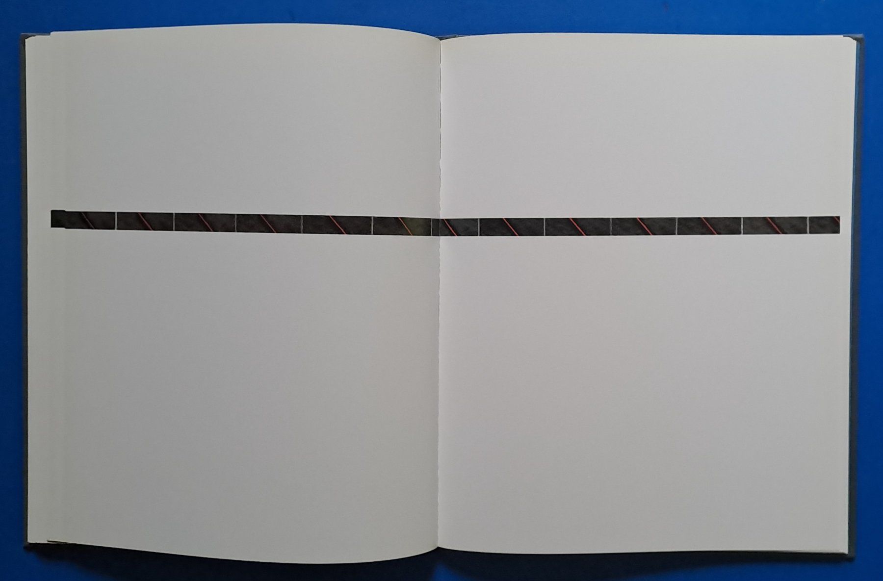 Libri: Hans Danuser: DELTA. EA 1996. Top erhalten – Usato da Zürich venduto da archiphil 6