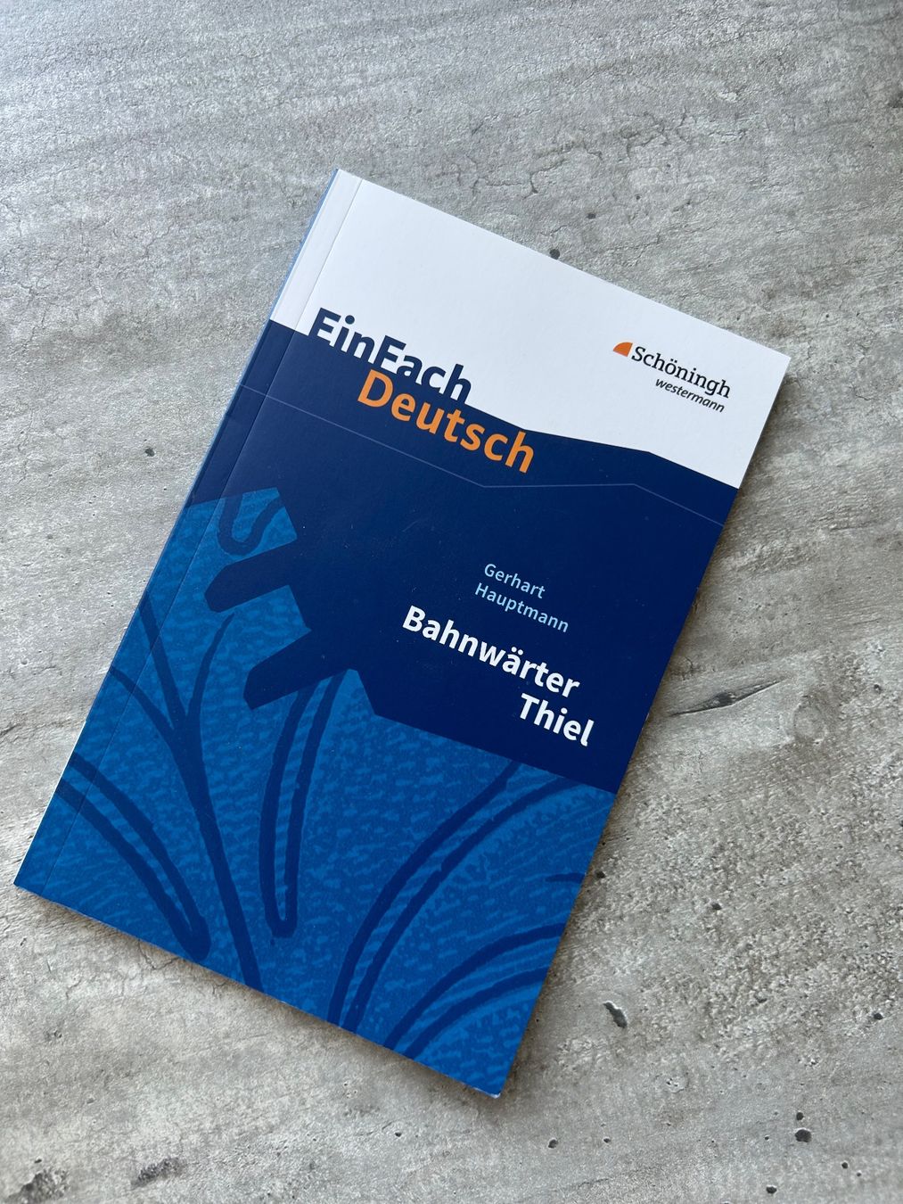 Livres: Bahnwärter Thiel – Neuf (Voir description) à Wabern par belka72