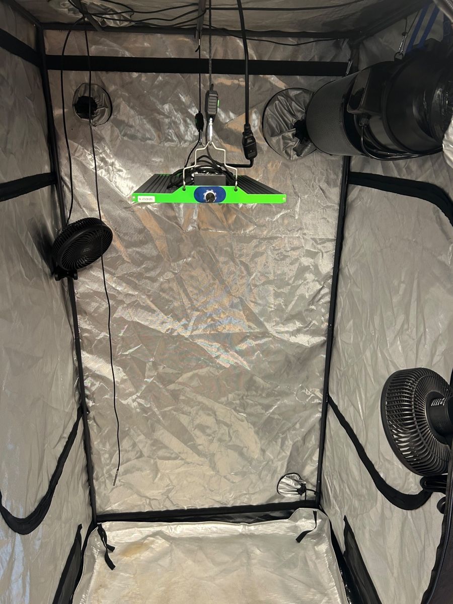 Growbox Autres: Indoor-Grow-Setup – Neuf (Voir description) à Oberwil-Lieli par onetwotree 7