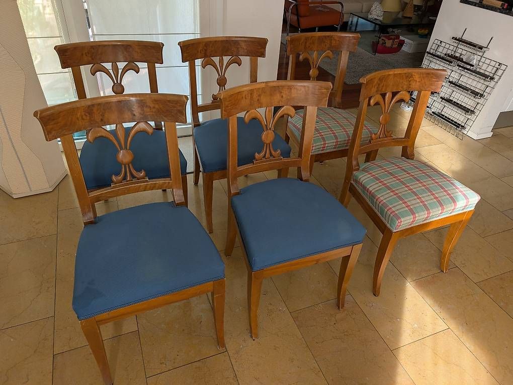 Chaises: 6 Biedermeier-Stühle Nussbaum – D'occasion à Zürich par McFlurry49